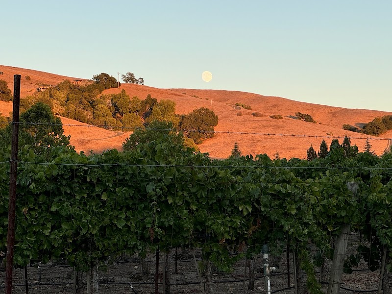 Barboshi Farms photo 3
