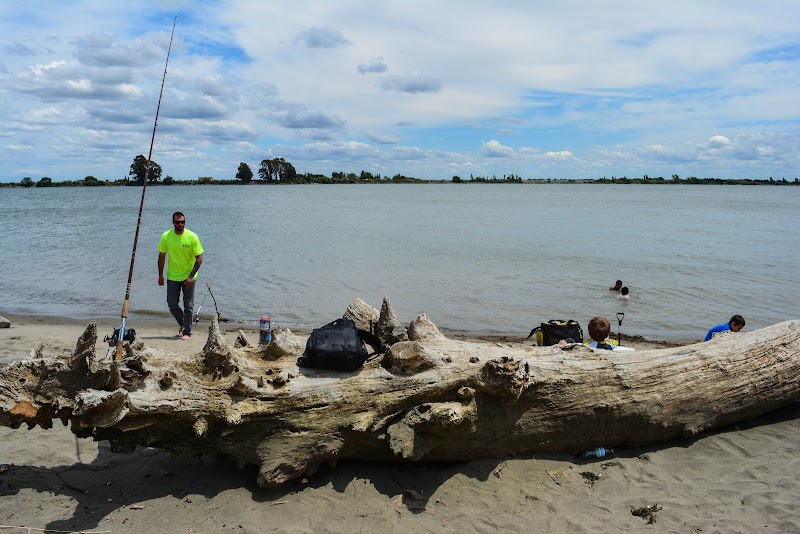 Sandy Beach County Park photo 3