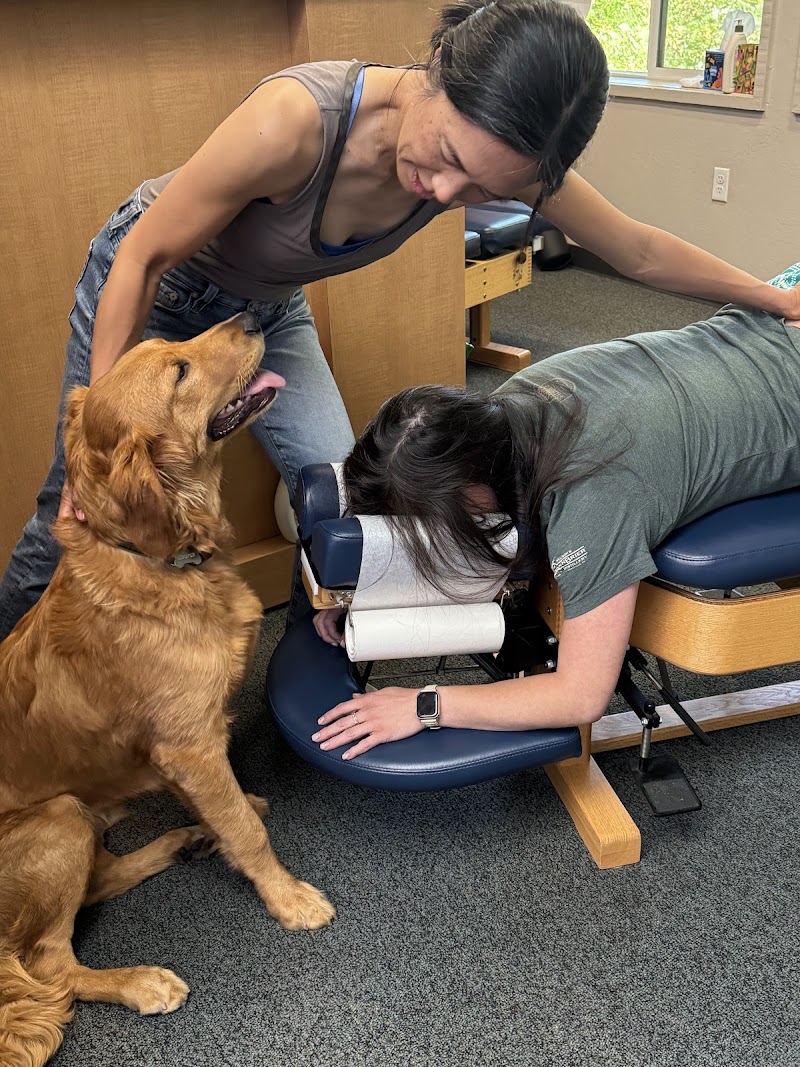 Rivulet Chiropractic photo 5