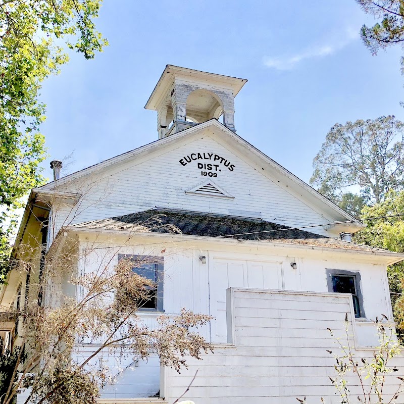 Photo of Eucalyptus School