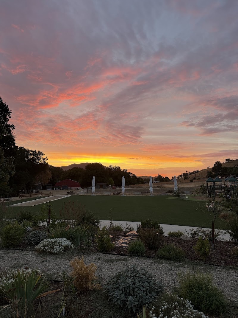 Clayton Valley Farms photo 5