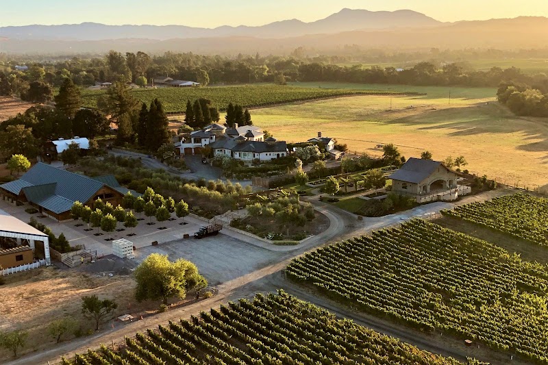 Bricoleur Vineyards photo 2