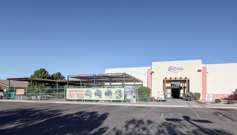 Photo of Ruggiero's Ace Hardware - Queen Creek