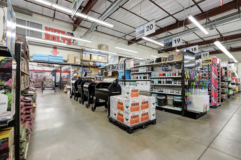 Ruggiero's Ace Hardware - Queen Creek photo 2