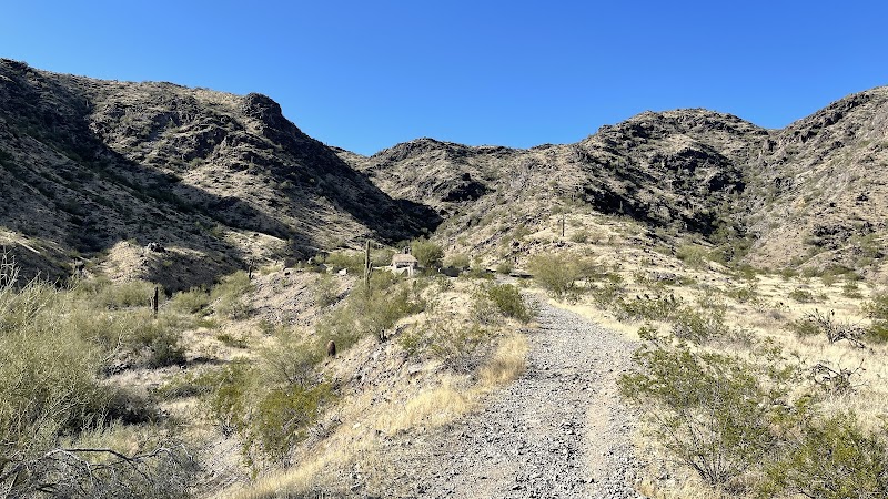 The Lost Ranch photo 3