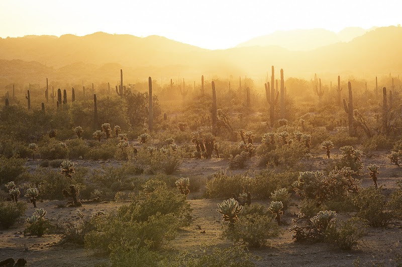 Photo of Sonoran Desert National Monument
