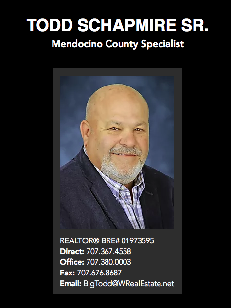 Todd Schapmire, W Real Estate photo 3