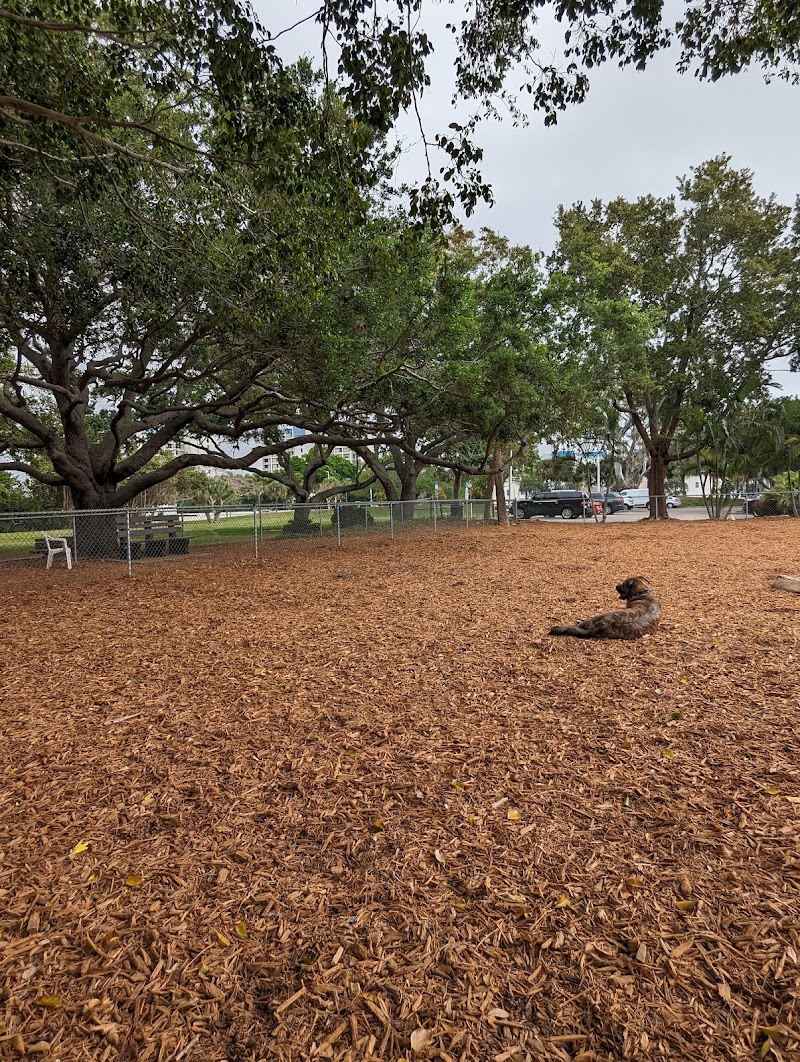 St Pete Beach Dog Park photo 5