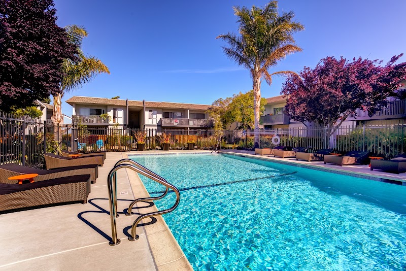 Beach Park Apartments photo 2