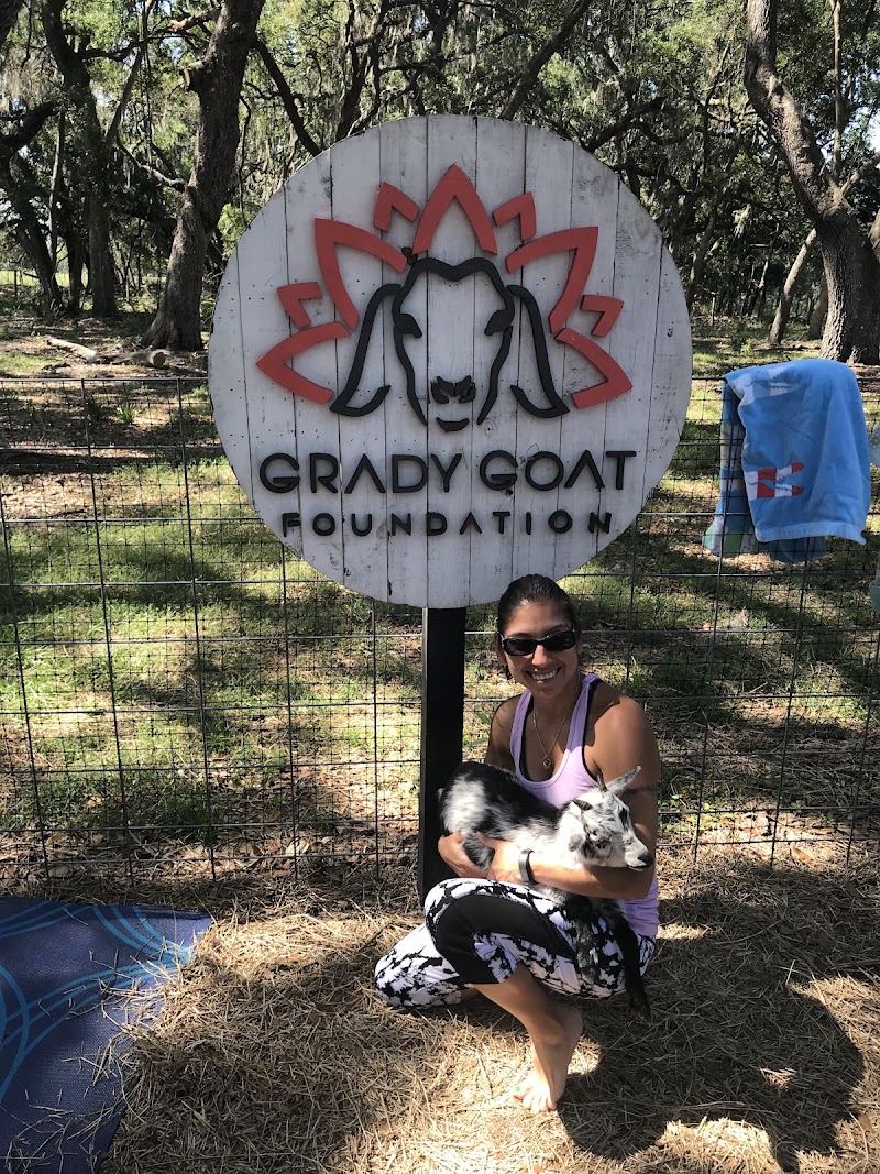 Grady Goat Yoga Tampa Bay photo 5