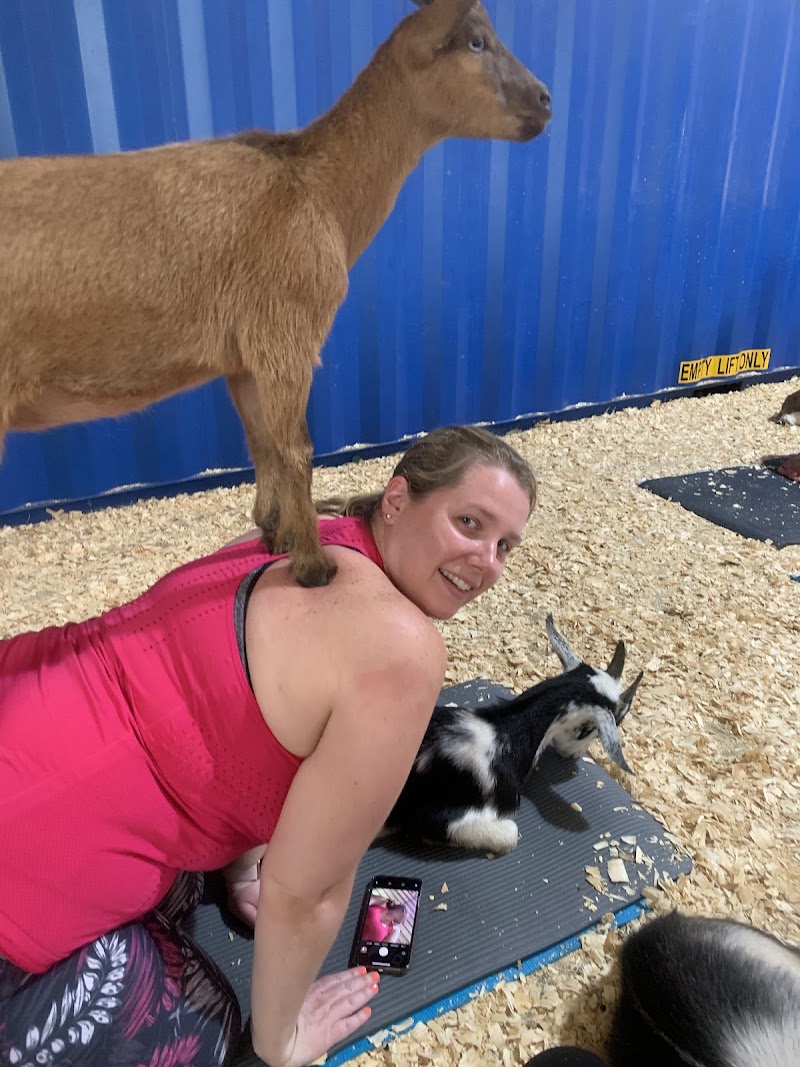 Photo of Grady Goat Yoga Tampa Bay