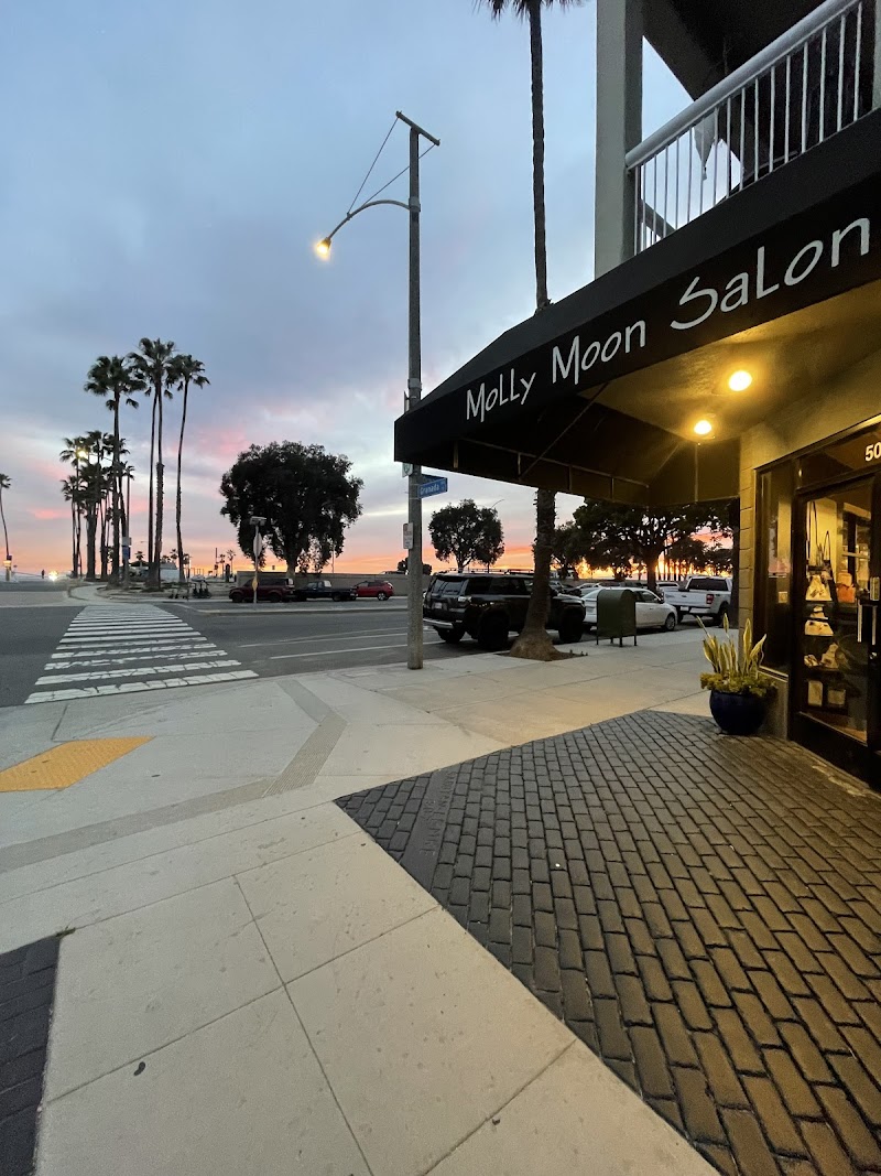 Molly Moon Salon photo 2