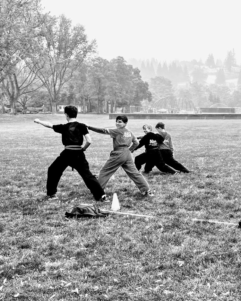 ABK Collective (America's Best Karate of Danville) photo 2