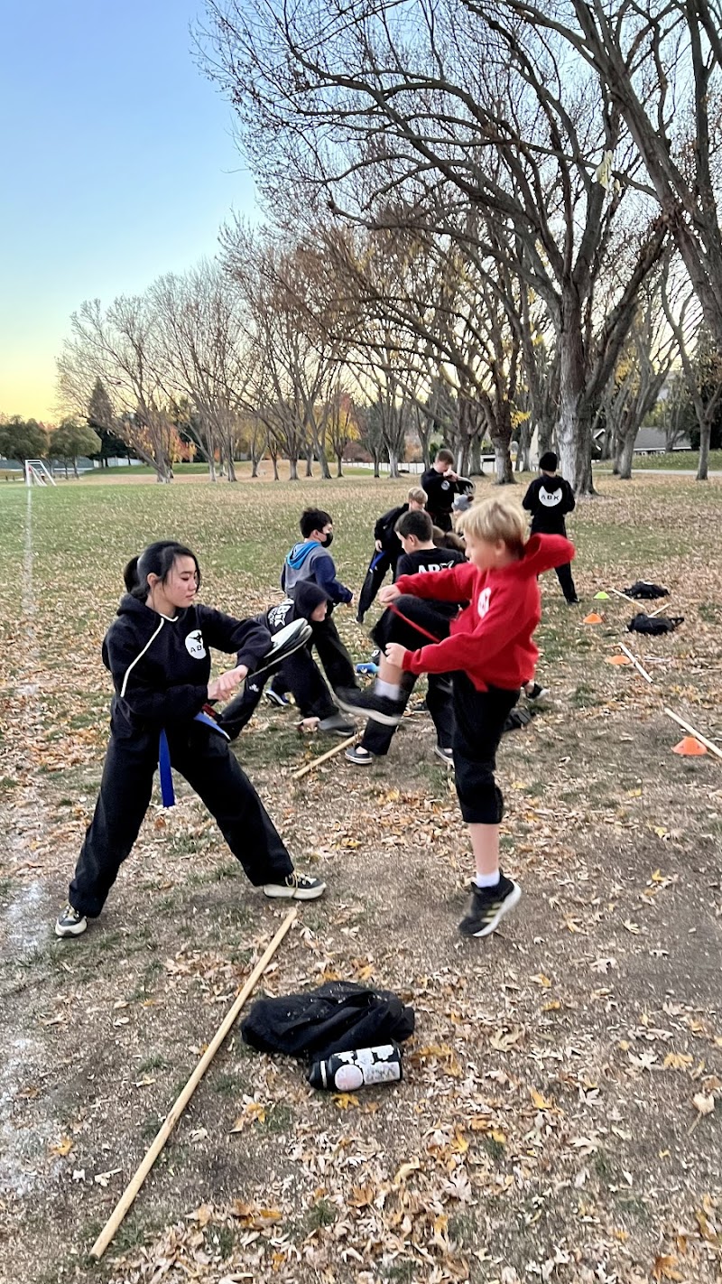 ABK Collective (America's Best Karate of Danville) photo 5