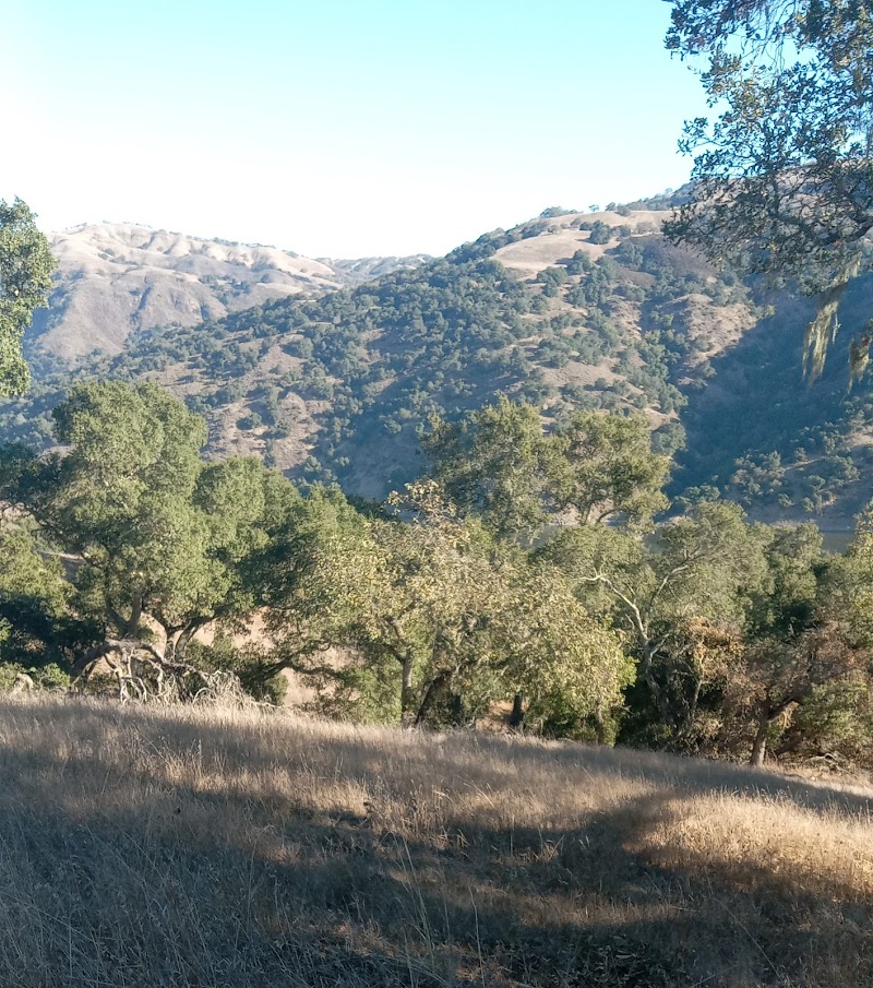 Coyote Lake - Harvey Bear Ranch Visitor Center photo 2