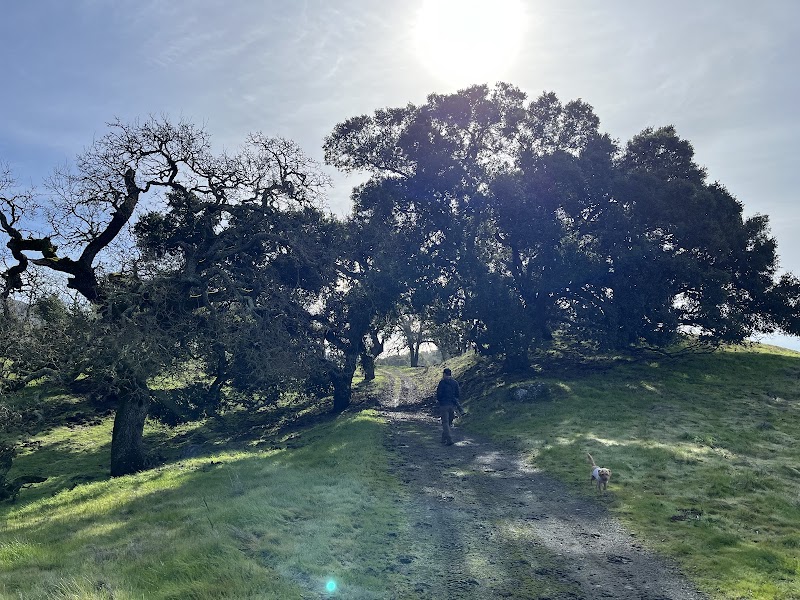 Coyote Lake - Harvey Bear Ranch Visitor Center photo 3