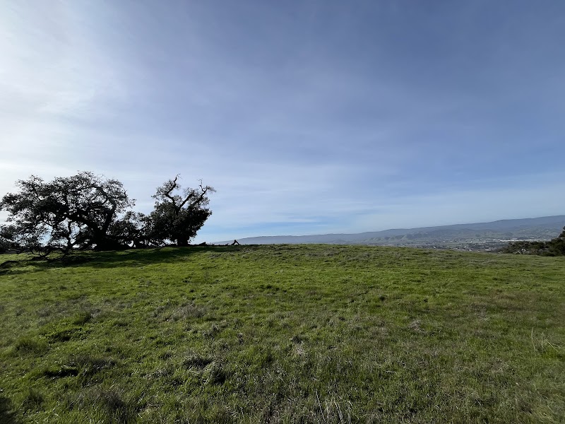 Coyote Lake - Harvey Bear Ranch Visitor Center photo 5