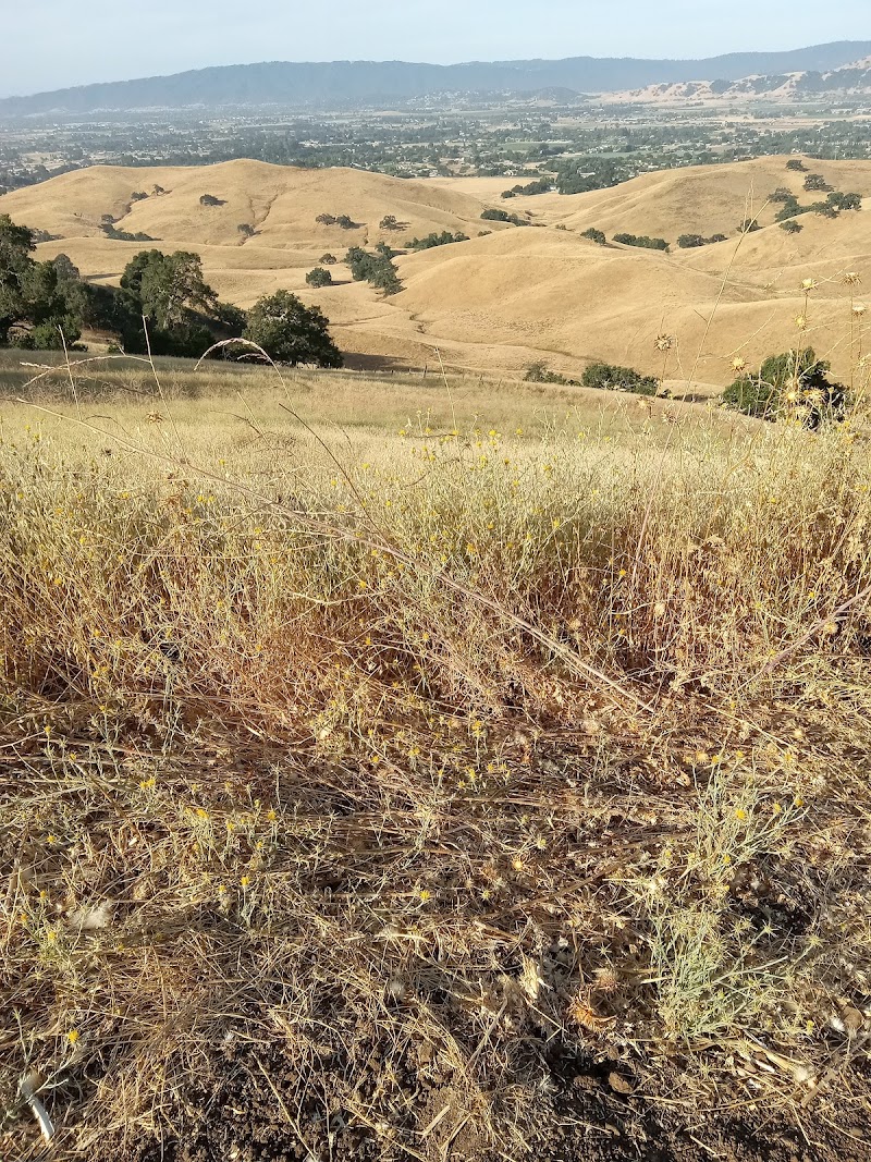 Coyote Lake - Harvey Bear Ranch Visitor Center photo 4