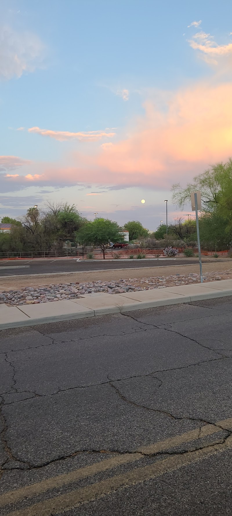 Oracle/Orange Grove (SW) photo 3