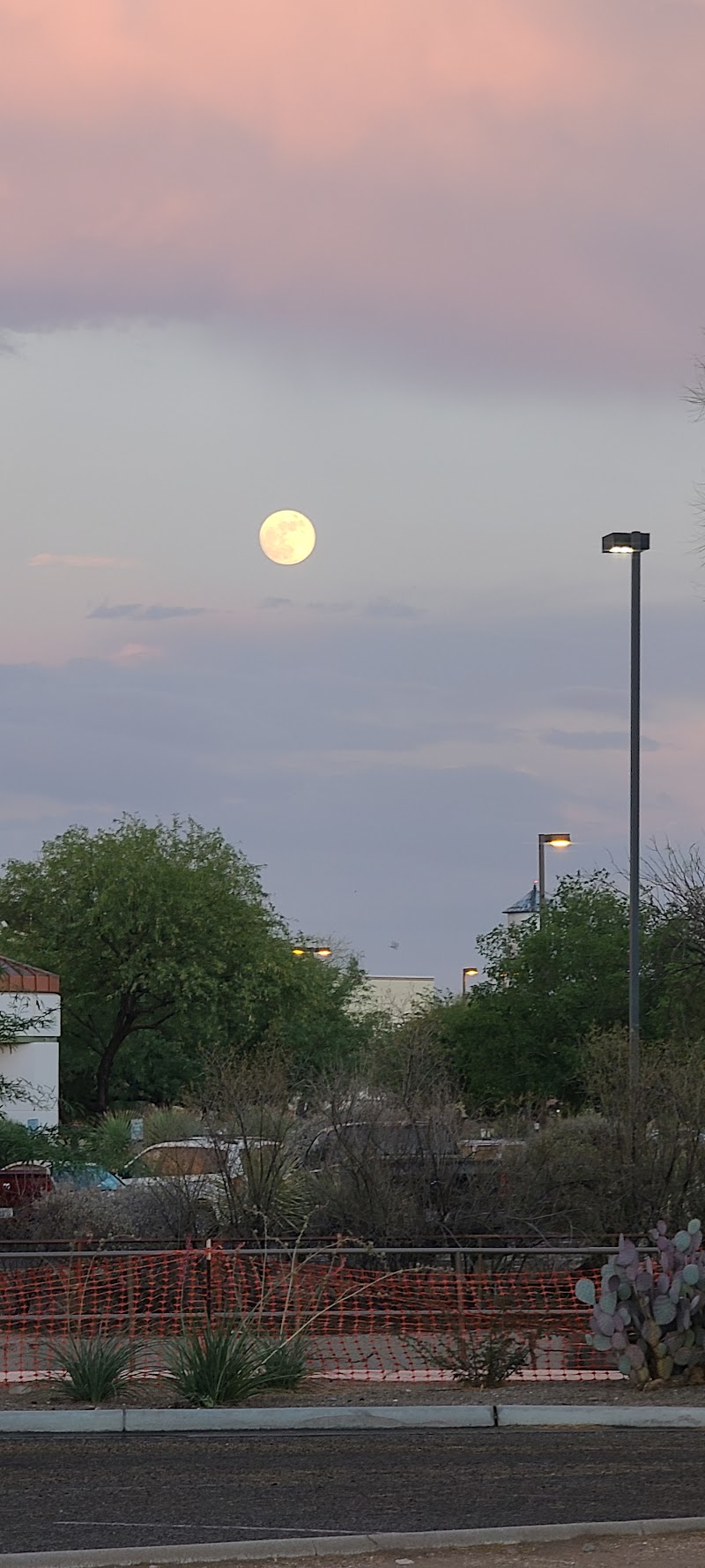 Oracle/Orange Grove (SW) photo 4