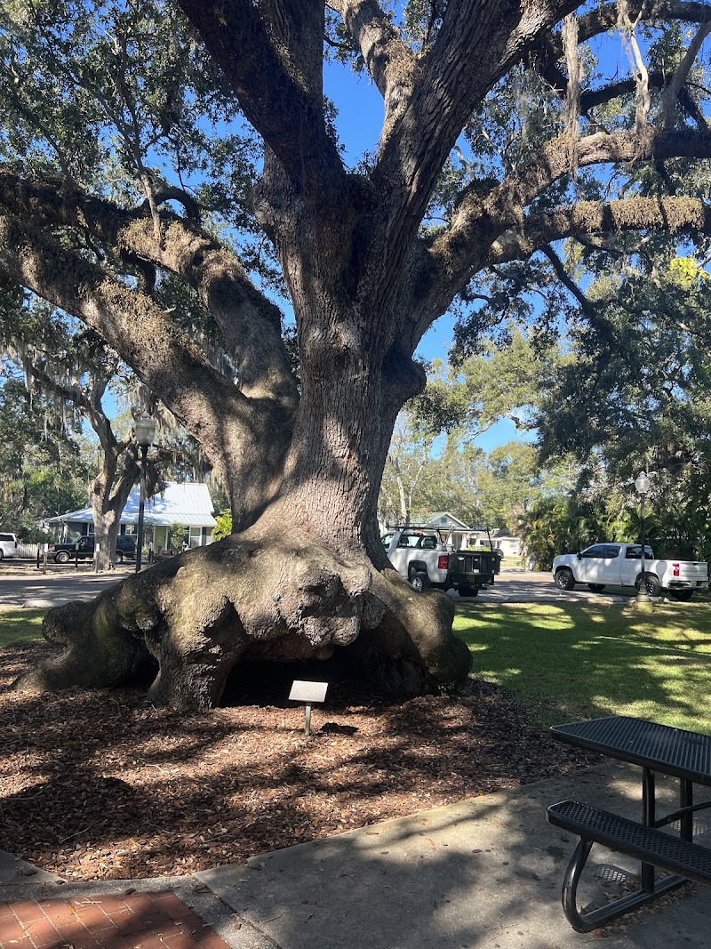 Safety Harbor Public Library photo 5