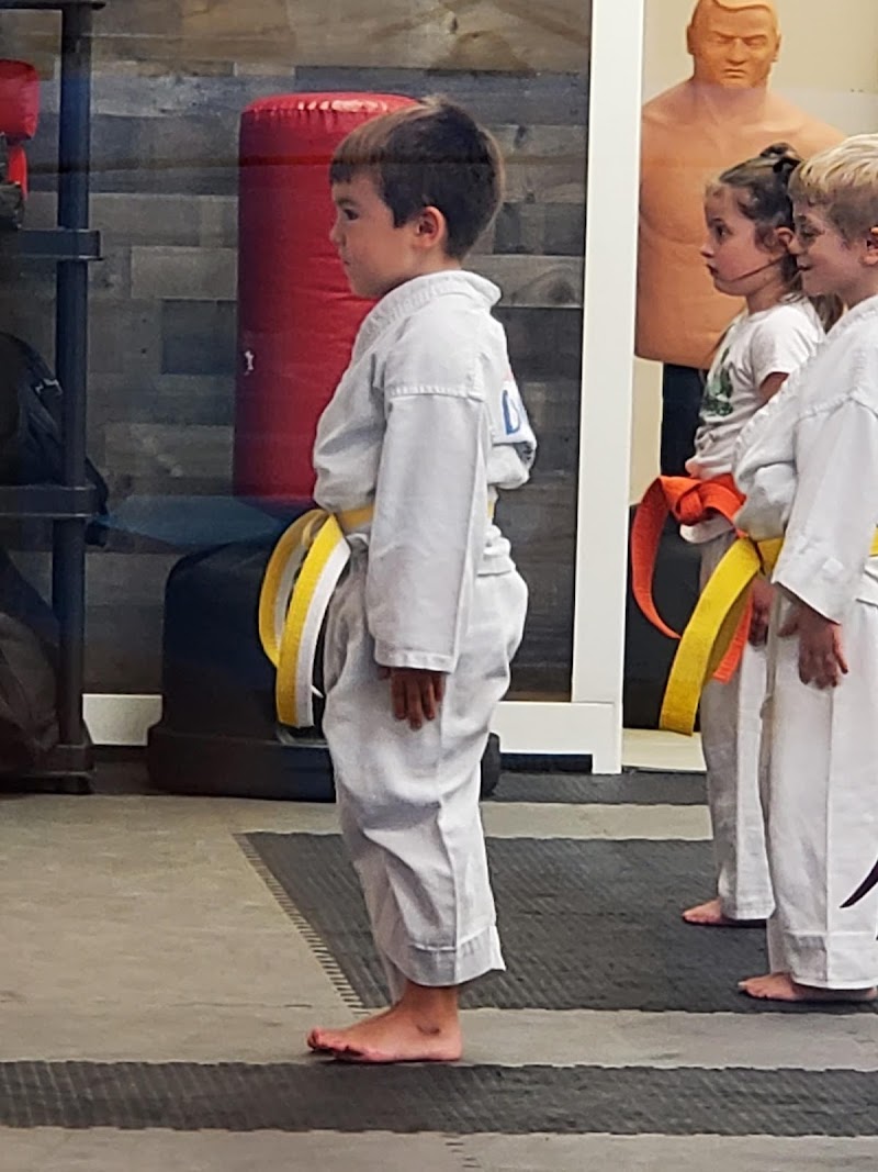 Lane's Family Dojo photo 3