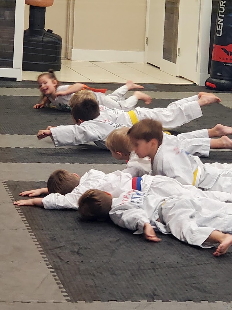 Lane's Family Dojo photo 4