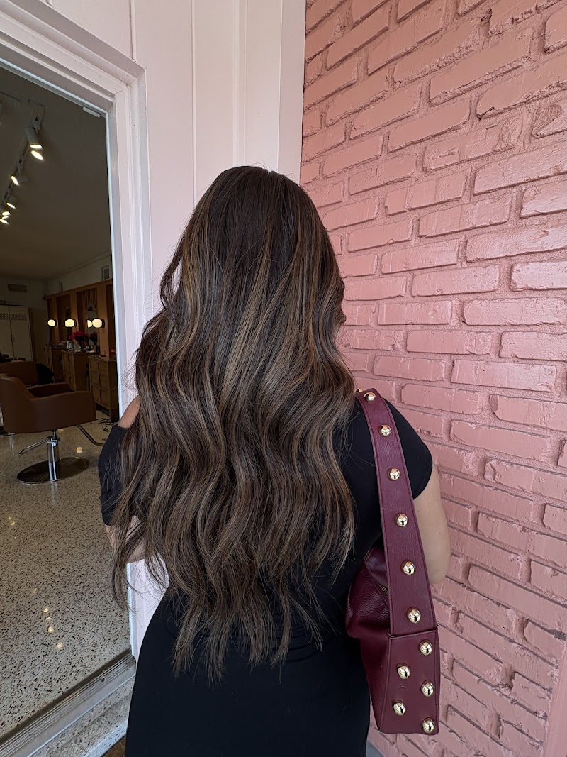 The Palm Hair Co. photo 5