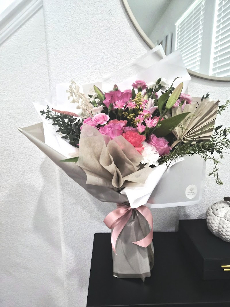 House of Lotus and Bloom photo 3