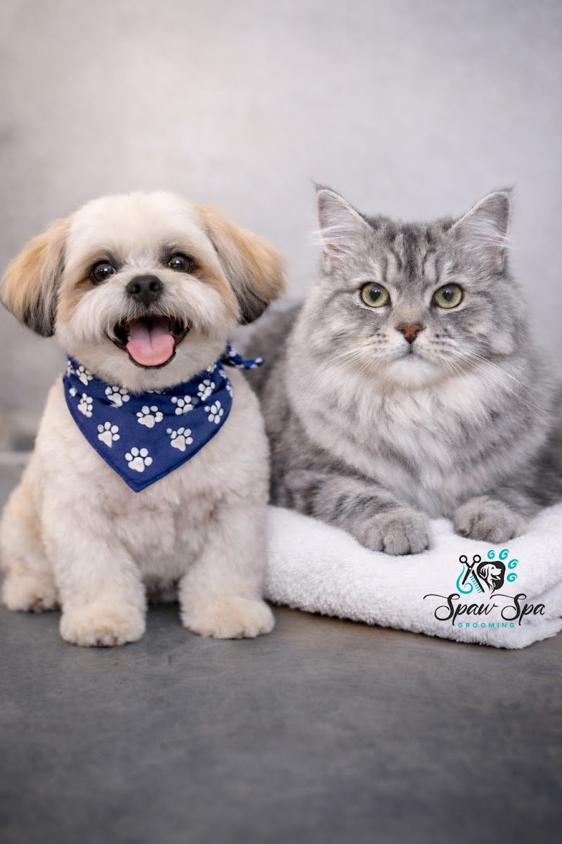 Photo of Spaw Spa Grooming