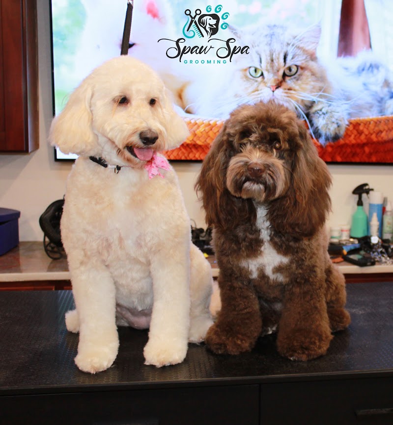 Spaw Spa Grooming photo 4