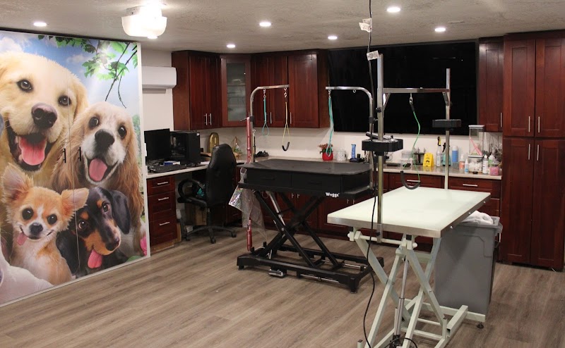 Spaw Spa Grooming photo 2