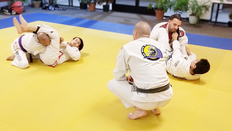 Big Break Jiu Jitsu photo 2