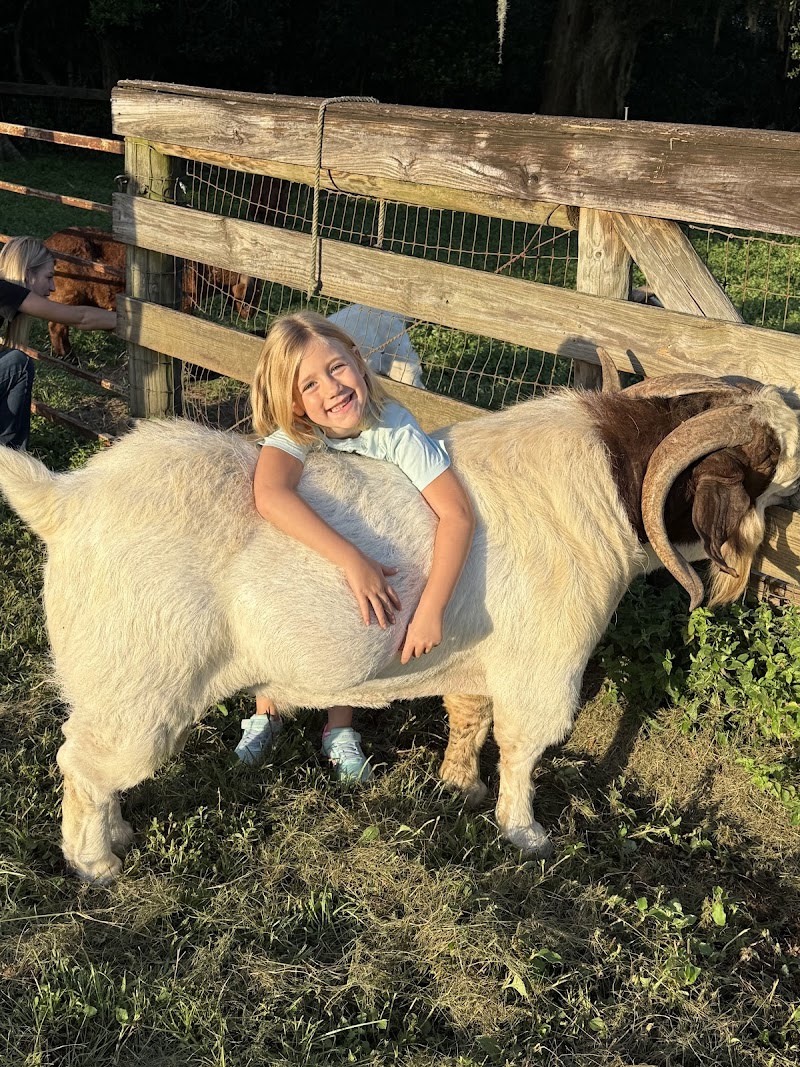 Tannerhill Farms Boer Goats photo 5