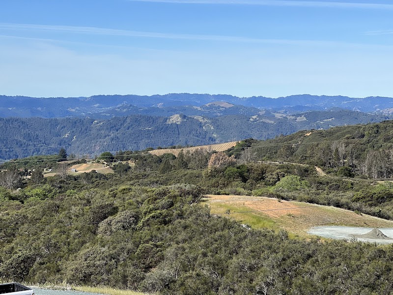 Pine Mountain Vineyards & Winery photo 4