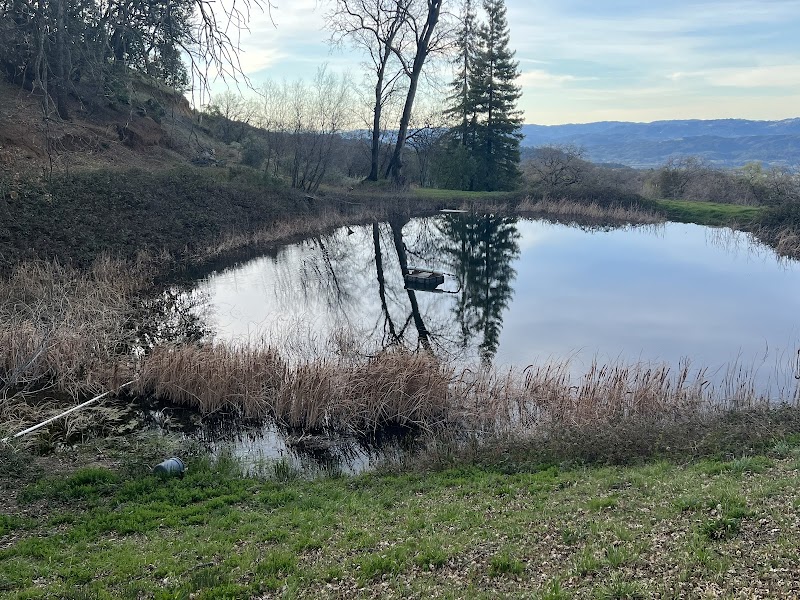 Pine Mountain Vineyards & Winery photo 2