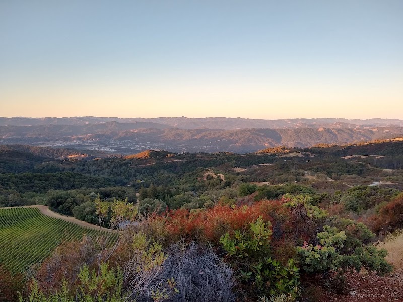 Photo of Pine Mountain Vineyards & Winery