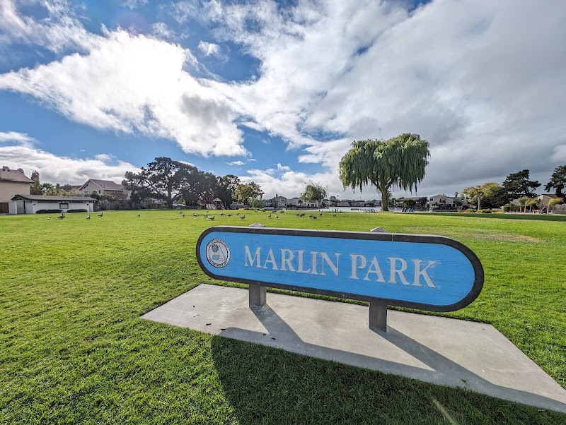 Marlin Park photo 3