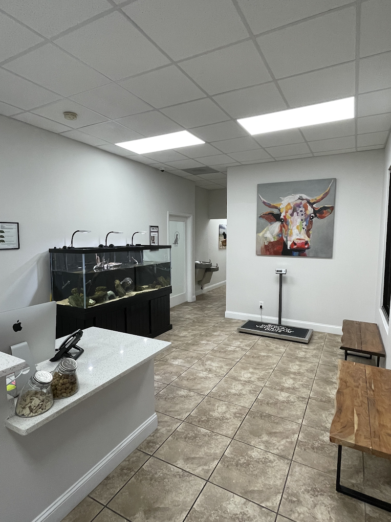 Harbor Springs Vet photo 2