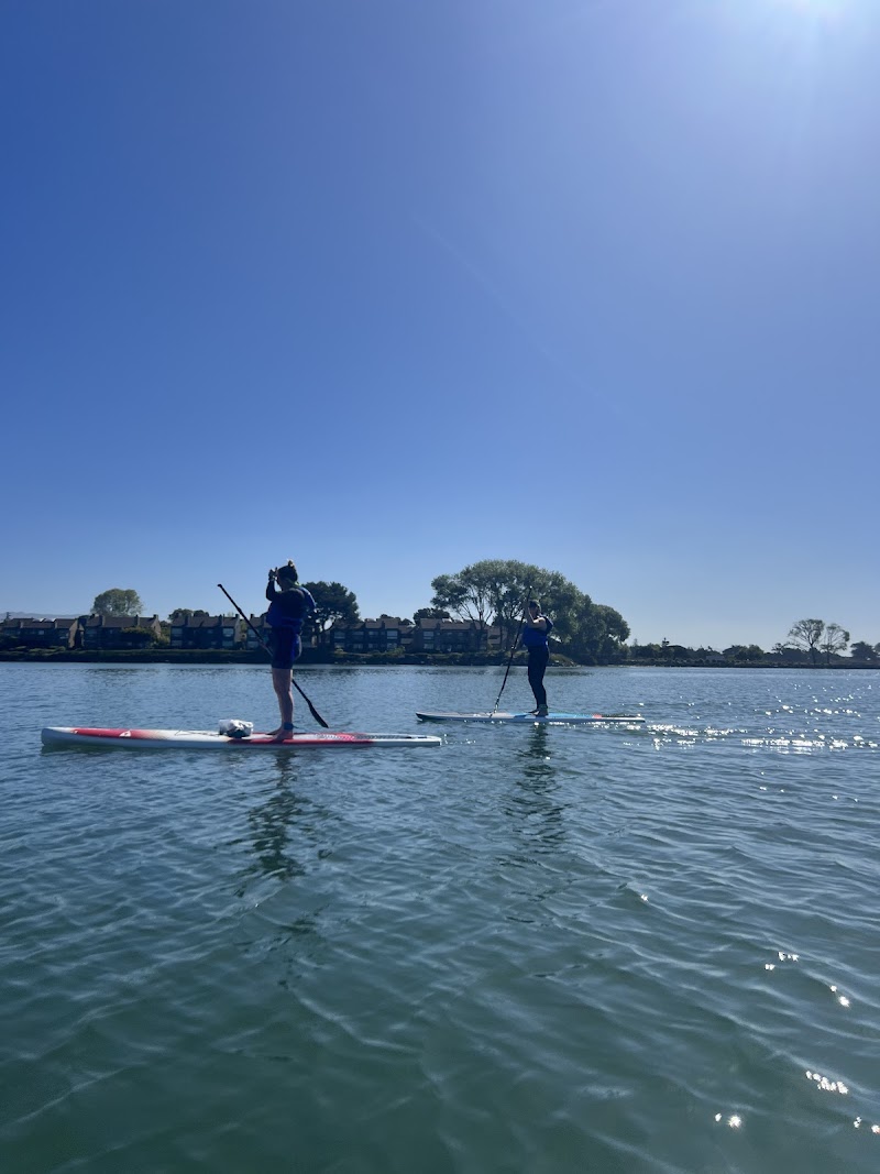 Sea Trek Kayak and SUP (Alameda) photo 5