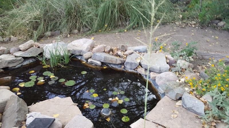 San Pedro House Nature Store & San Pedro Riparian National Conservation Area Visitor Information photo 3
