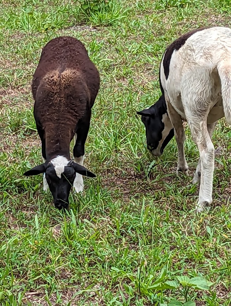 Ferguson Farms photo 2
