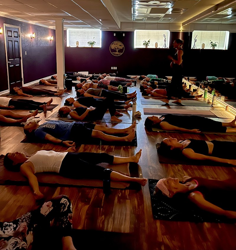 Savage Yoga Studios photo 4