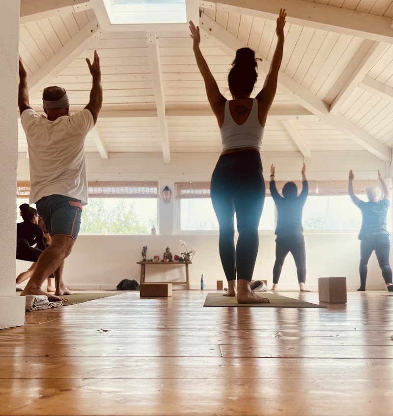 Savage Yoga Studios photo 3
