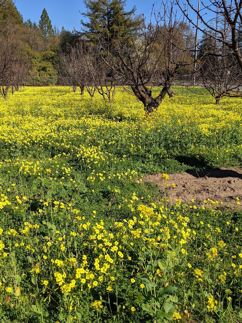 Photo of Novakovich Orchards