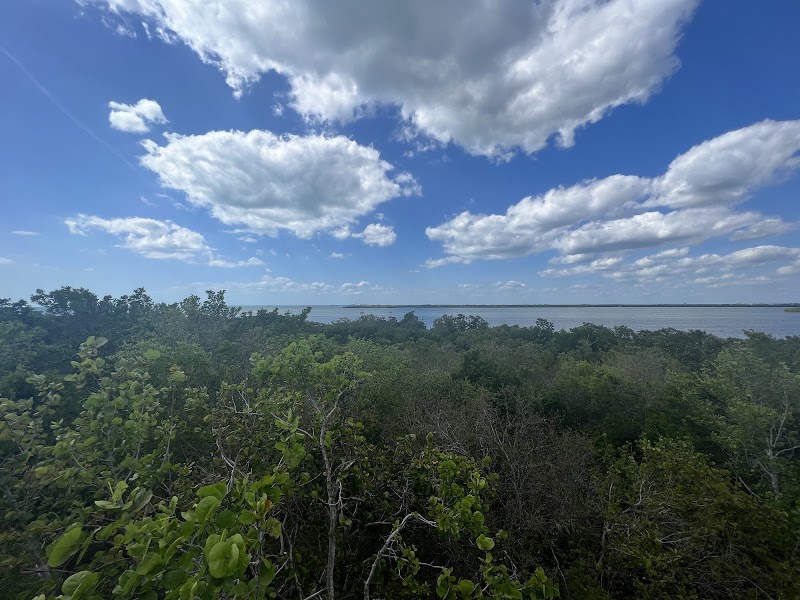 Photo of Observation Tower