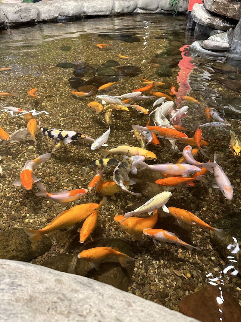 Jungle Reef photo 2