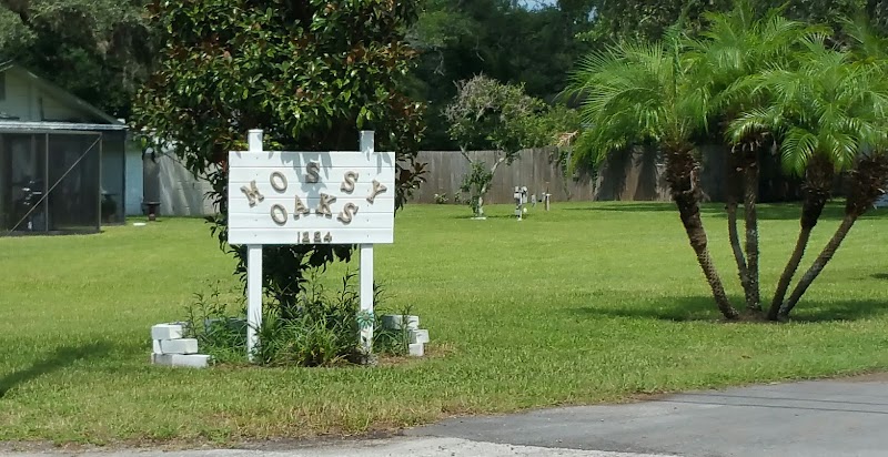 Mosssy Oaks Mobile Home RV Park photo 4