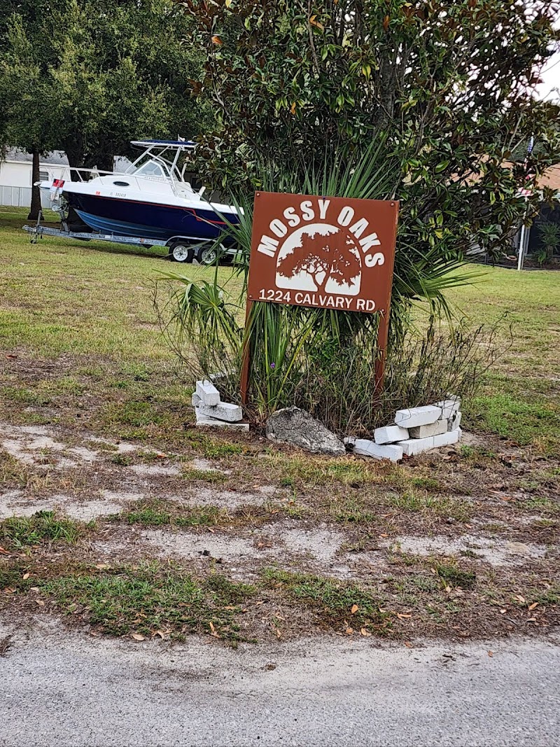 Mosssy Oaks Mobile Home RV Park photo 2