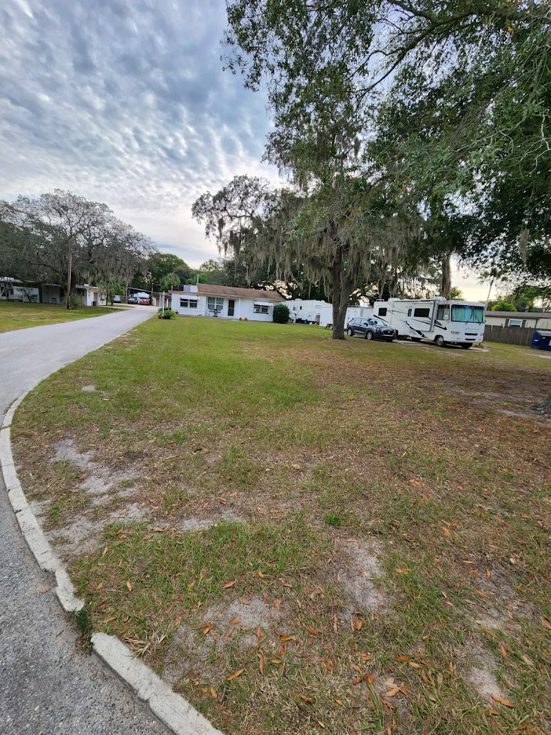 Mosssy Oaks Mobile Home RV Park photo 3